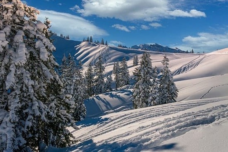 Paesaggi innevati